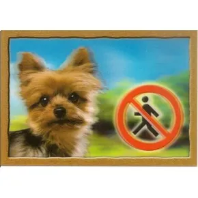 3D-Erkennungsmarke, Yorkshire Terrier